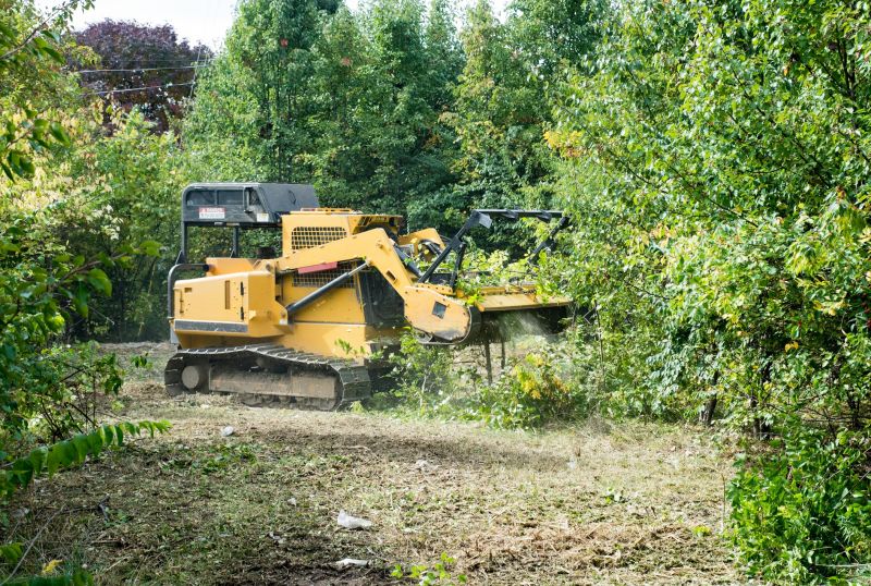 Brush Clearing Service in Marietta, GA