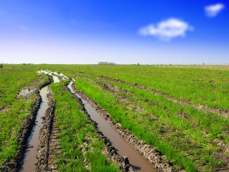 Optimal Seasons for Ground Leveling